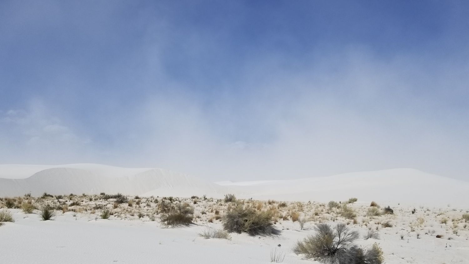 White Sands BackCountry Trail 